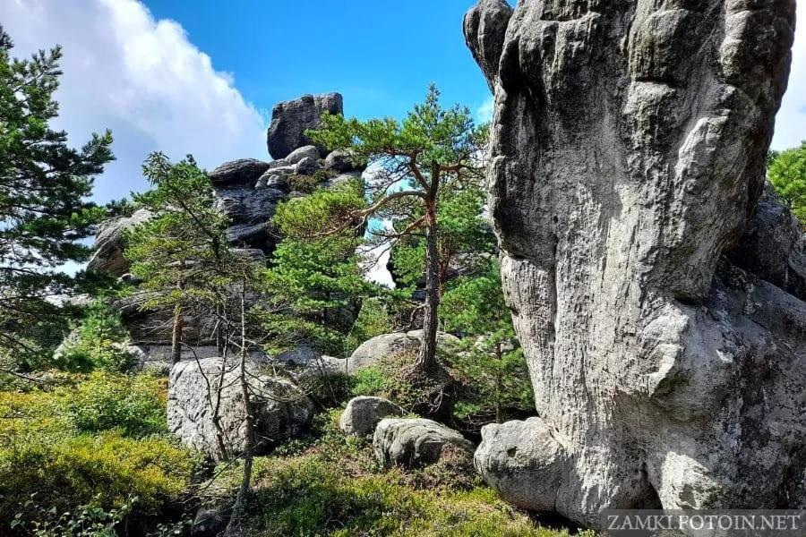 Pokoje U Filipa Kudowa-Zdrój Exterior foto